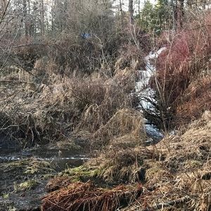 Meet your Posher, Holly